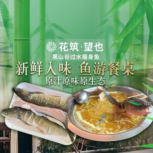 Wang Ye Live Fish Restaurant (Longhu Xingyuehui Store)