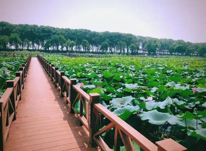 Hong Lake Wetland Park