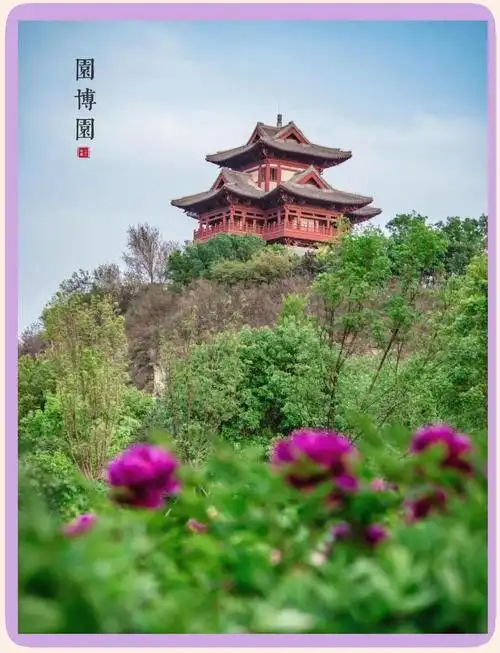 Peony Garden Expo Park