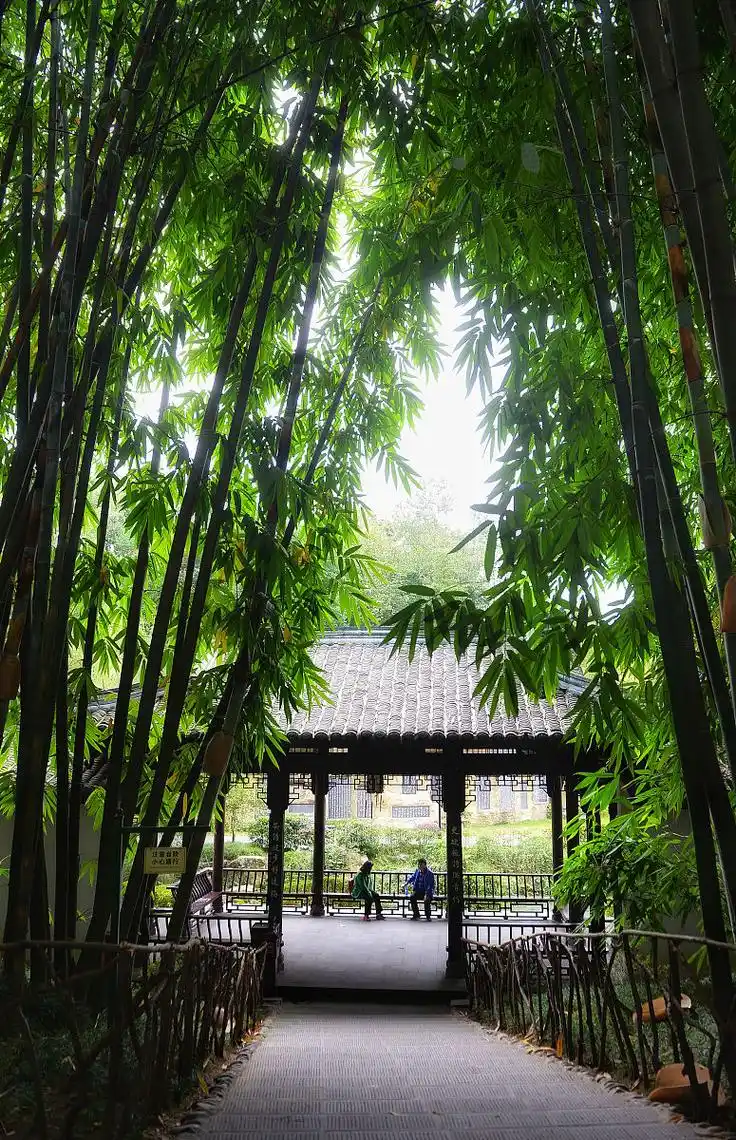 Gu Long Zhong Zhu Lin