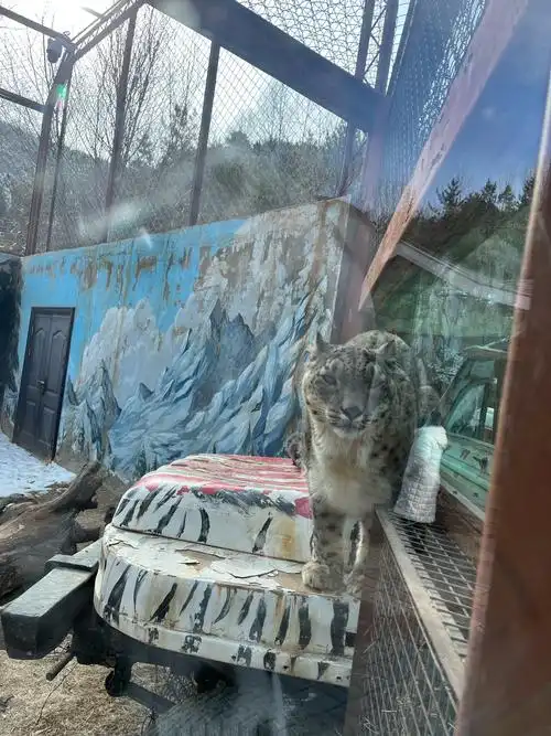 Qinghai Wild Animal Park