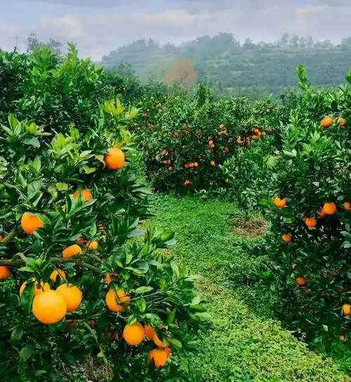 Ganzhou Nichi Cheng Park