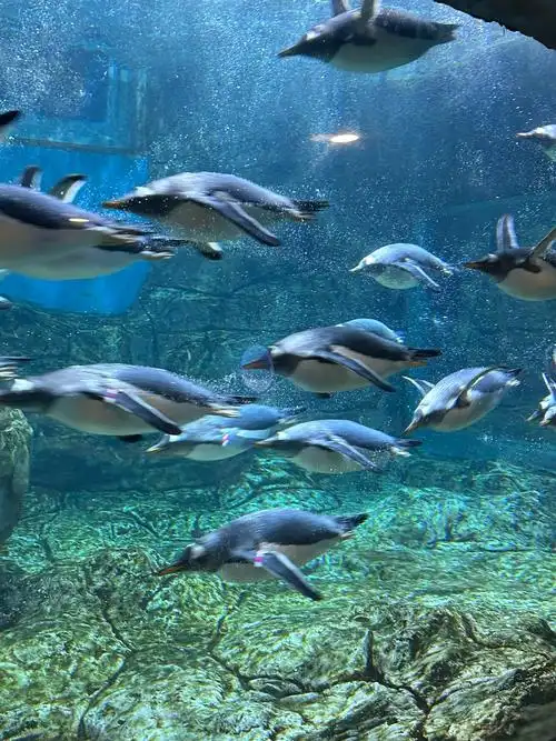 Zhengzhou Ocean Park