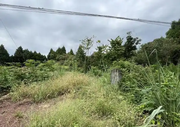 Zhang Xianzhong’s Tomb