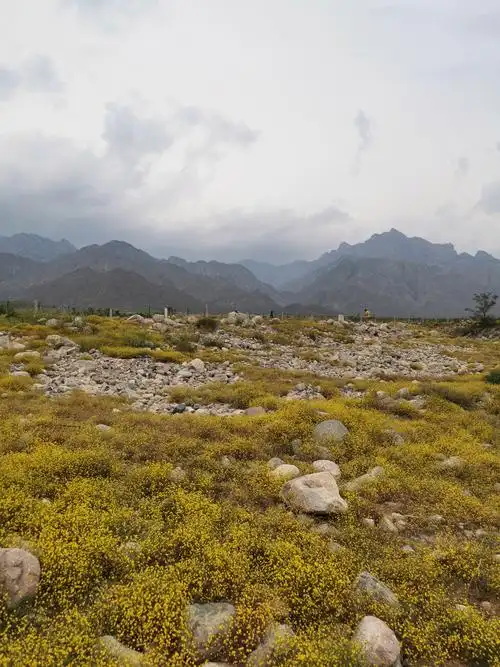 Helan Mountain Nature Reserve