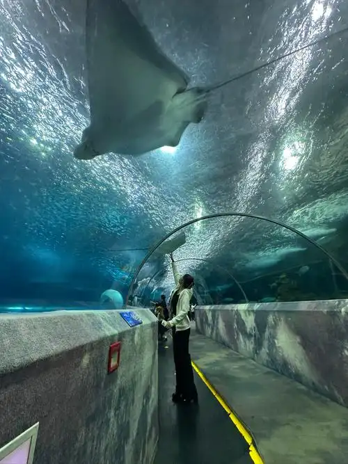 Changsha Haidui Shijie