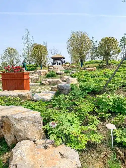 Fuyang Botanical Garden