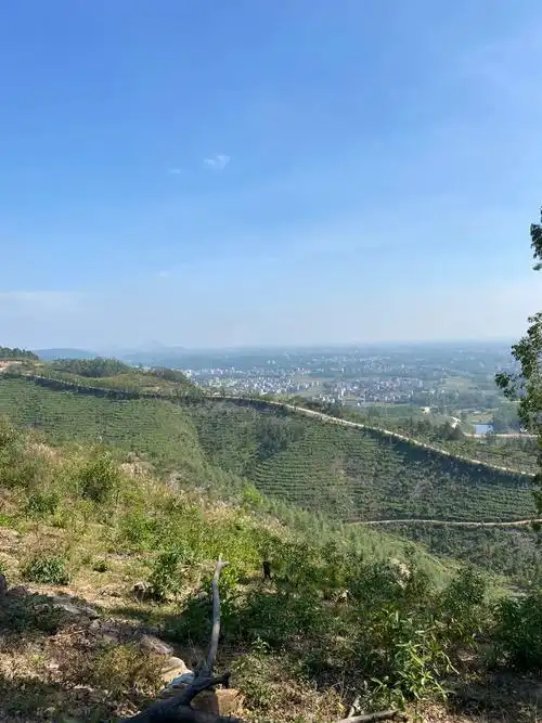 Qu Shan Shi Long Shan