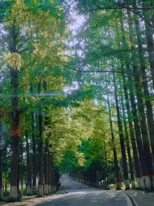 Tongshan Lake Ecological Tourism Zone