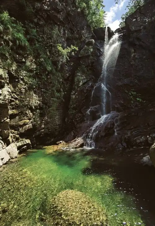 Longwangshan Forest Park