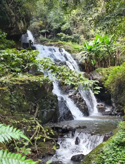 Dongxiao Forest Park
