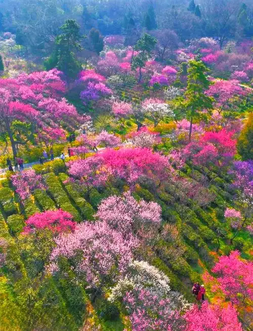 Meihua Shan Natural Protection Zone