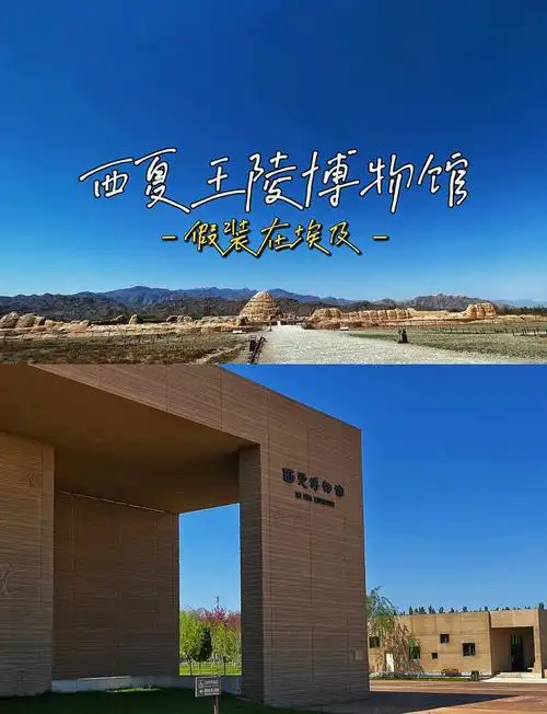 Xi Xia Museum