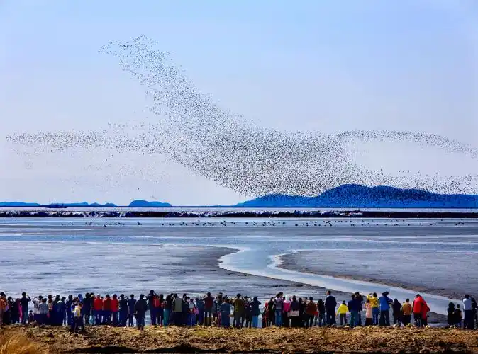 Dan Dong Ya Li Jiang Kou Shi Di