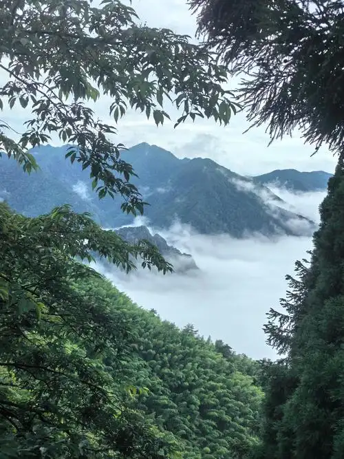 Jīnggāngshān Guójiājí Zìrán Bǎohùqū