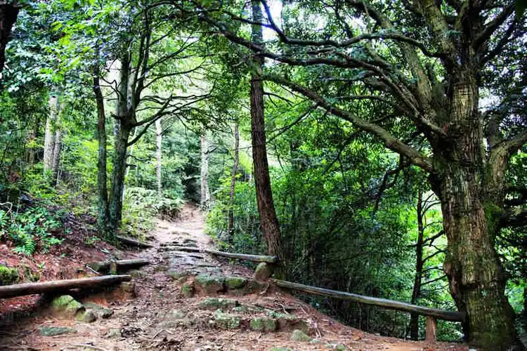 Zhu-Mao Shoulder Pole Path