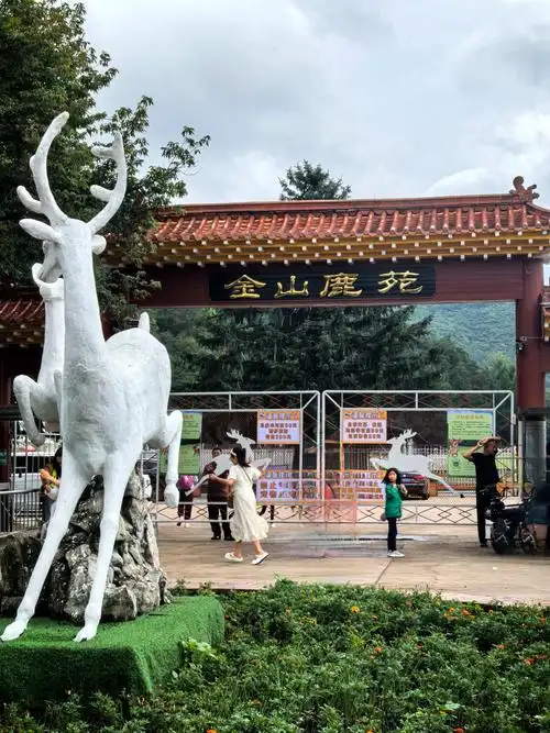 Yichun Forest Animal Park