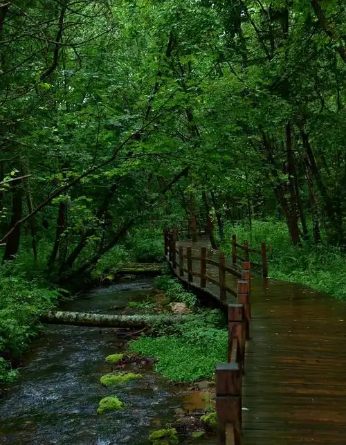 Shangganling Creek Valley