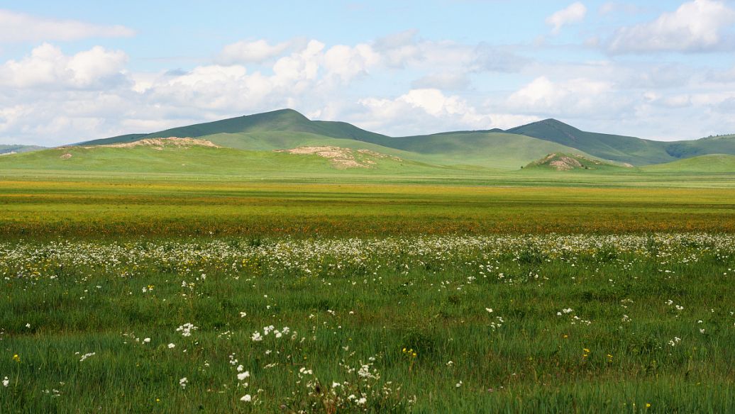 Bayanbulak Grassland