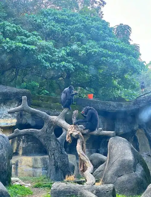 Taipei Animal Garden