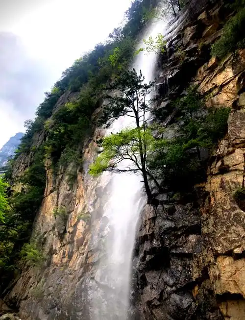 Qingfeng Scenic Area