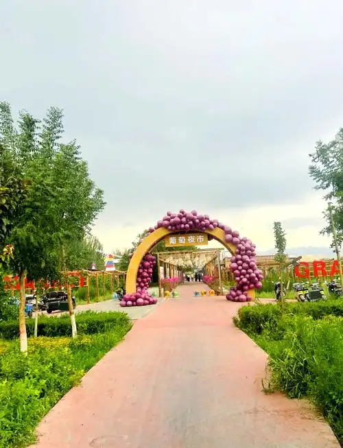 Turpan Grape Market