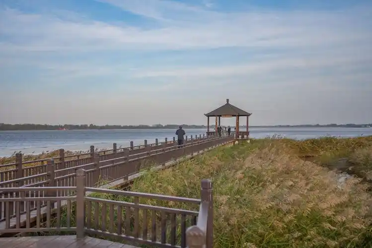 Huang He Gu Dao Forest Park