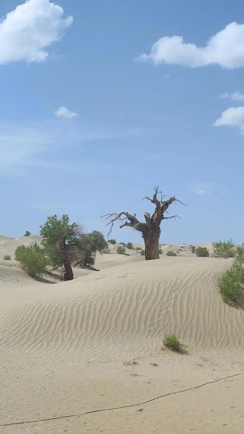 Taklamakan Desert in Kashgar
