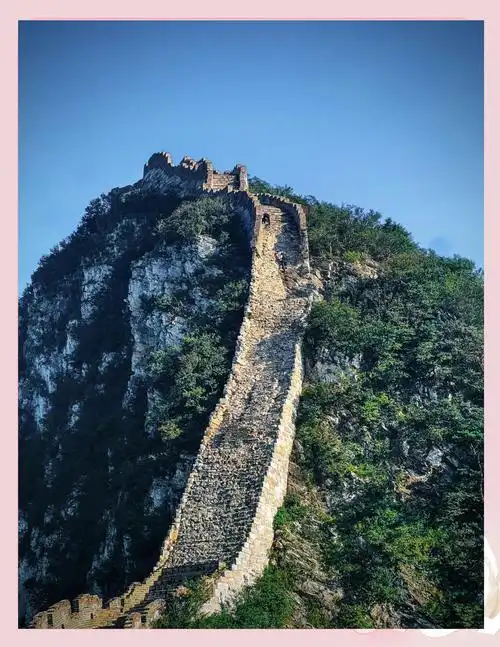 Wild Great Wall