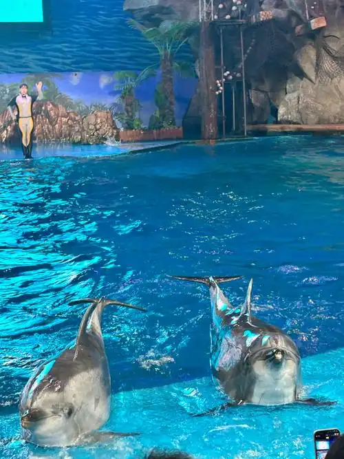 Laohutan Polar Ocean World