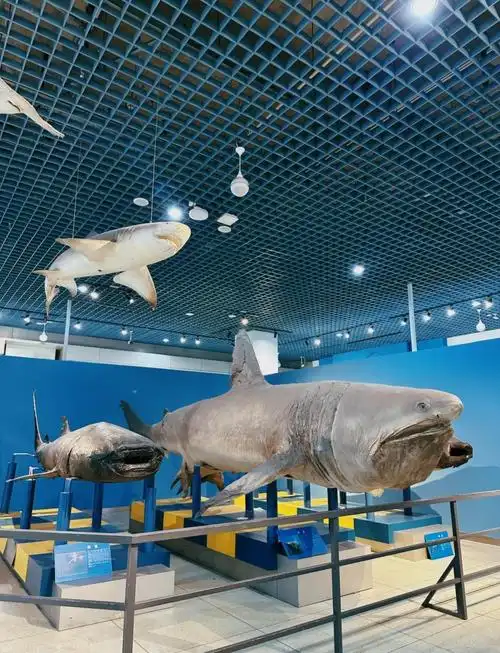 Dalian Natural Museum