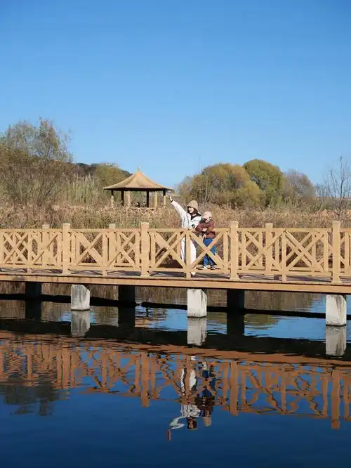 Yangji Chayangchuan Marshland