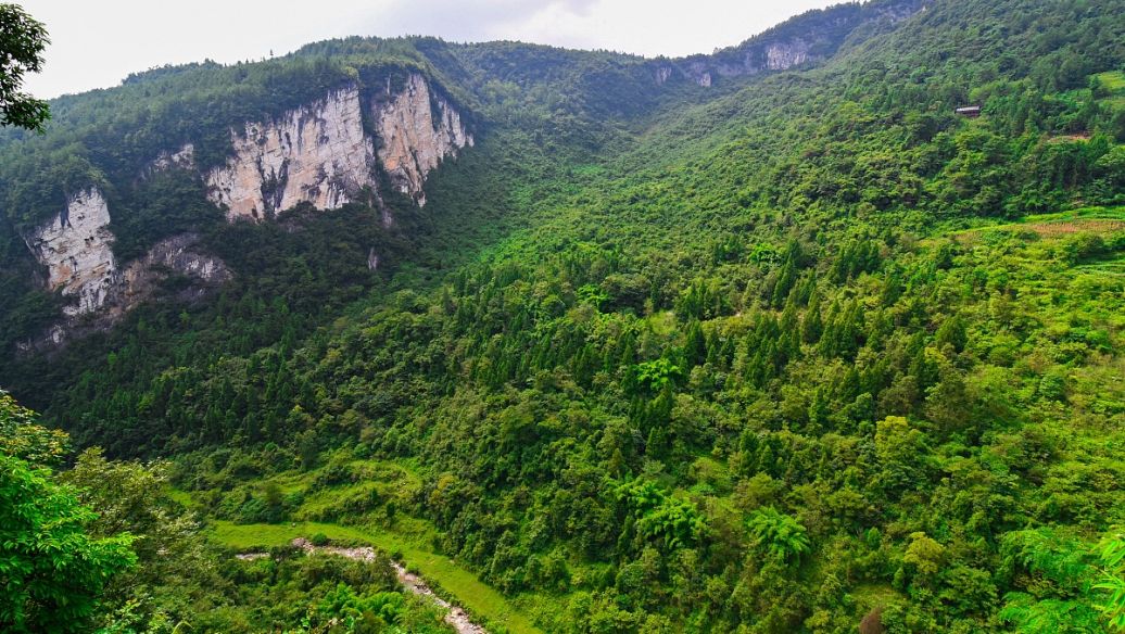 Tianmen Shan National Forest Park