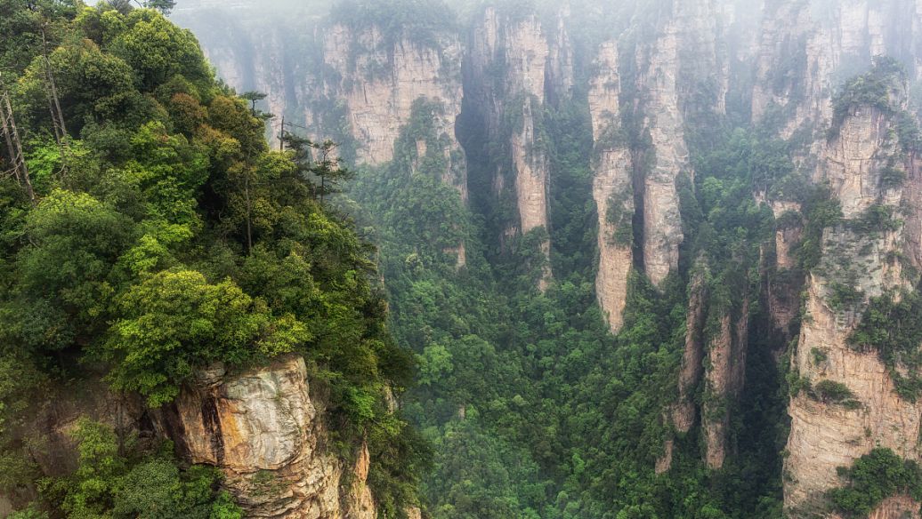 Zhangjiajie Grand Canyon