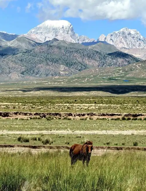 Derinyin Ha Grassland
