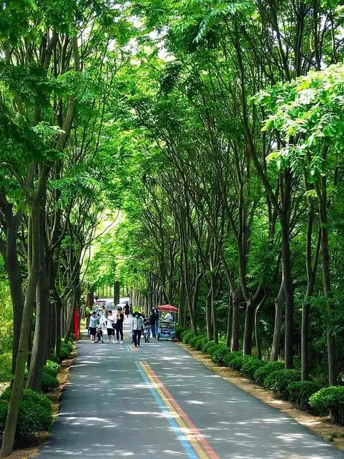 Rizhao Marine National Forest Park