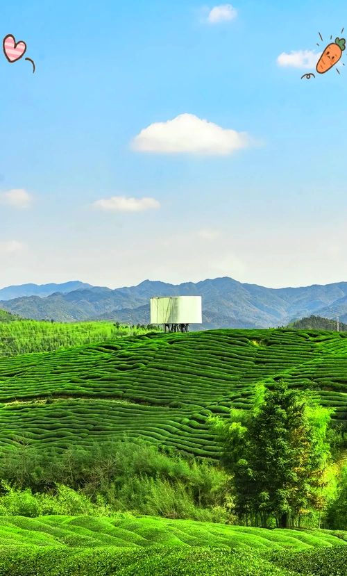 Fúliáng Chá Xiāng