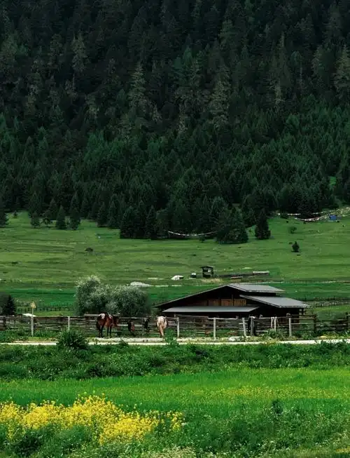 Lu Lang International Tourism Town