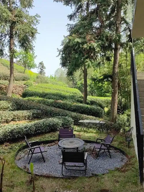 Hengbao Tea Plantation