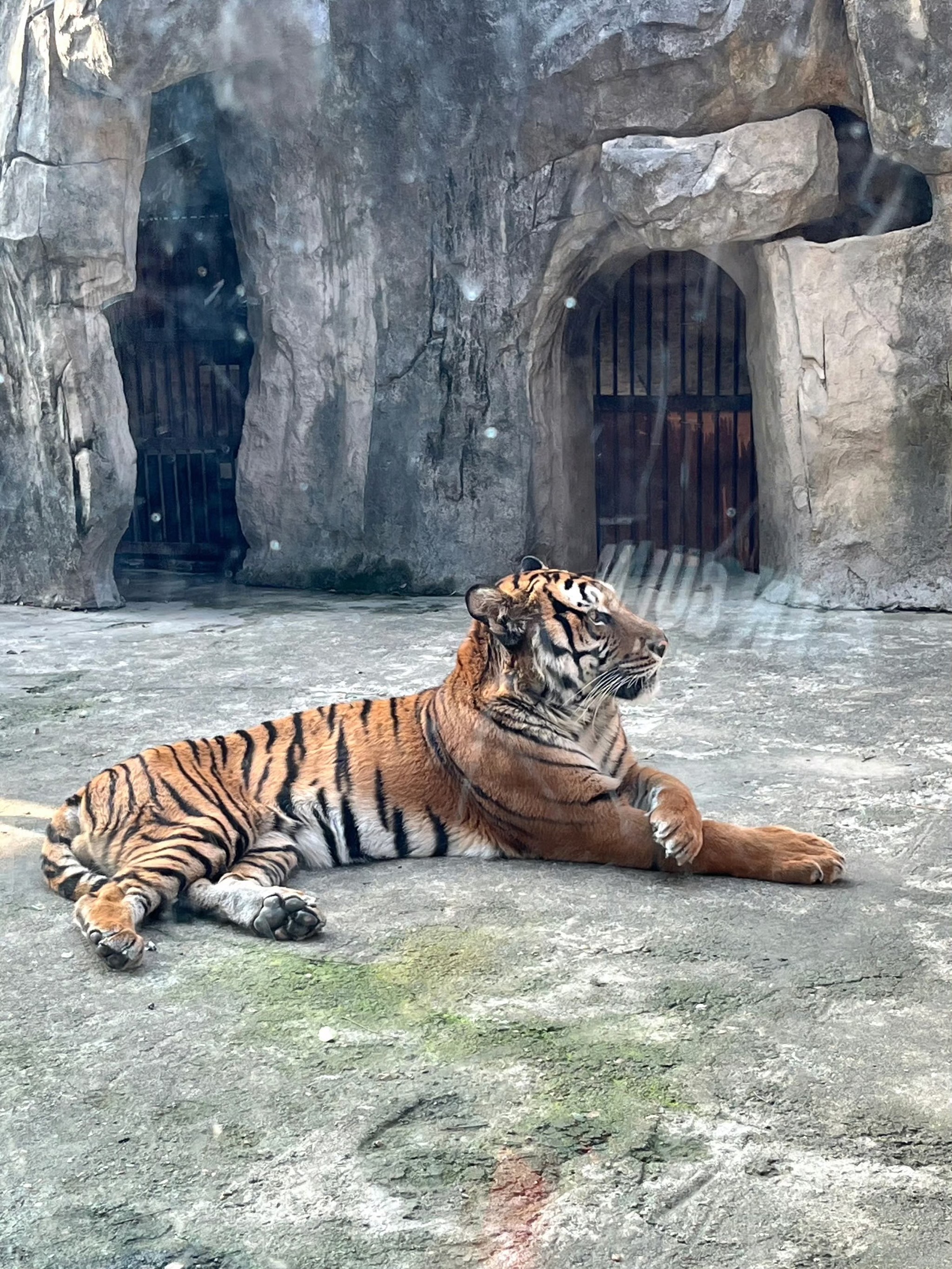 Nanchang Animal Park
