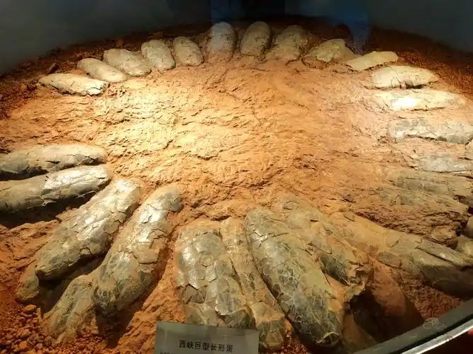 Nanyang Dinosaur Egg Fossil Site