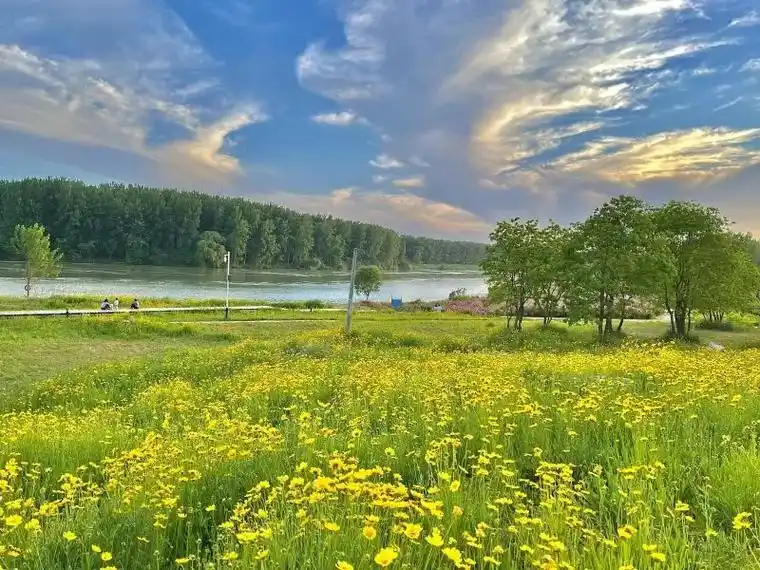 Sha Ying River Ecological Park