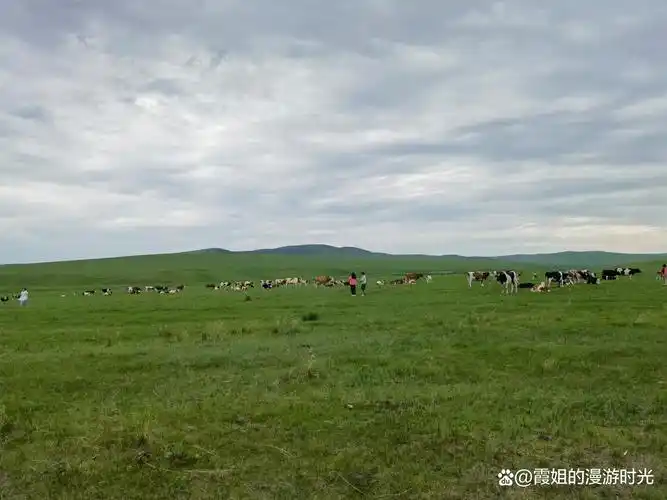Hohhot Huerchahe Grassland