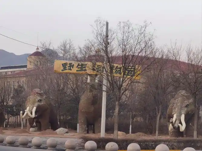 Хуотайхэ Вэньвэй Юань