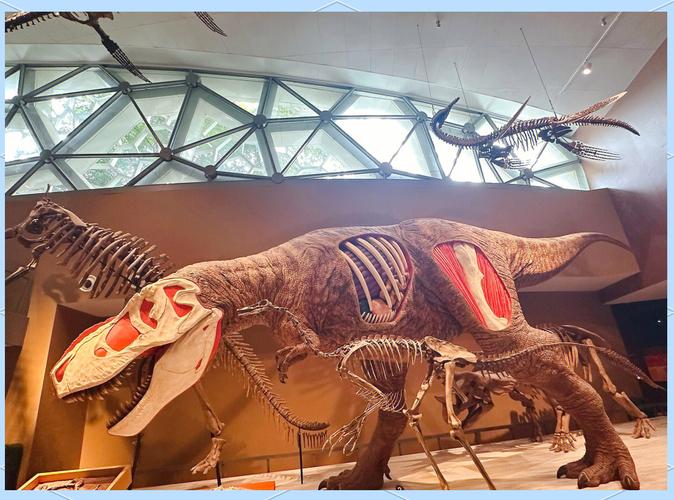 Shanghai Natural Museum