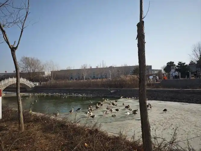 Tangshan Animal Park