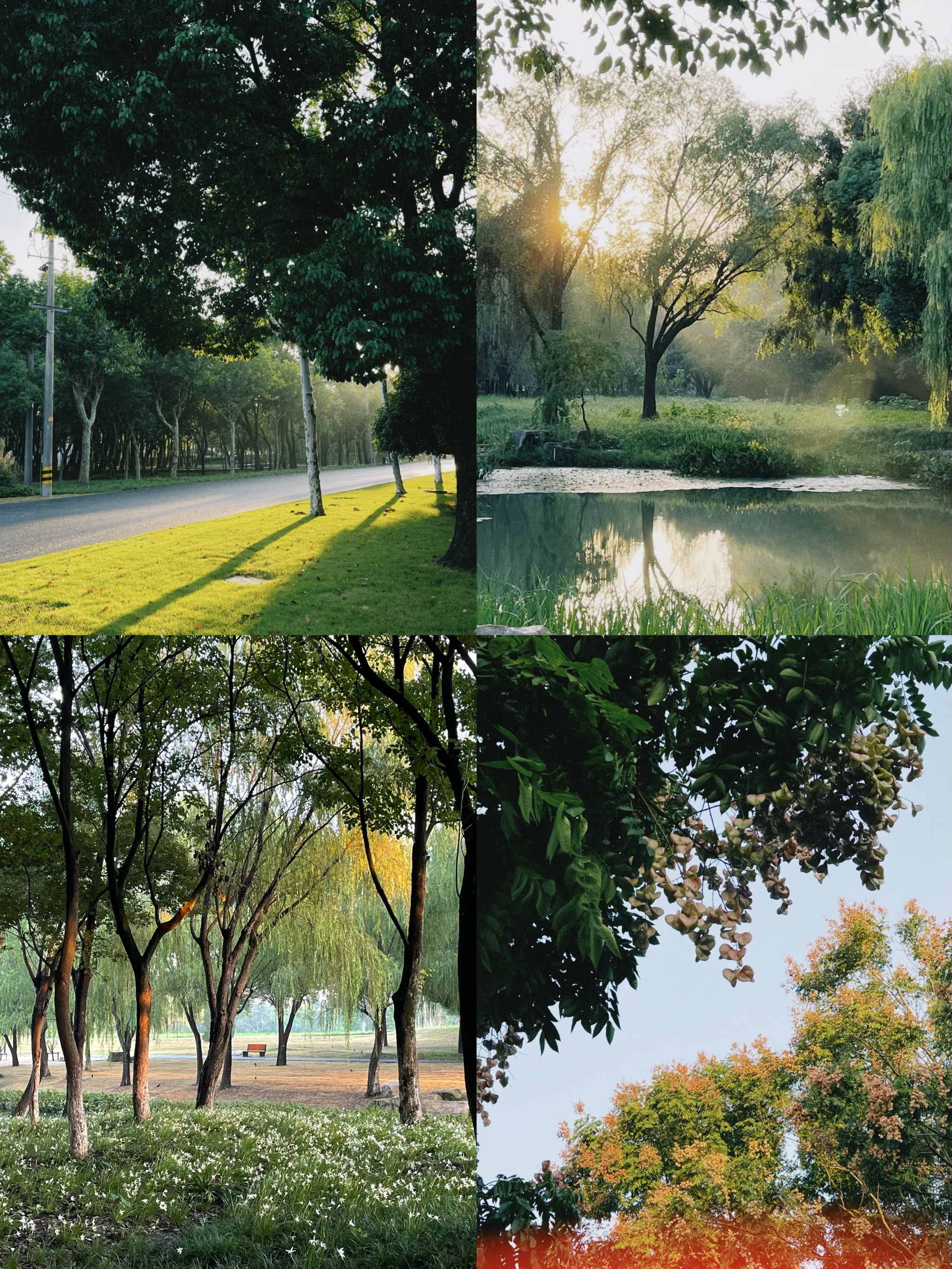 Jiaxing Botanical Garden