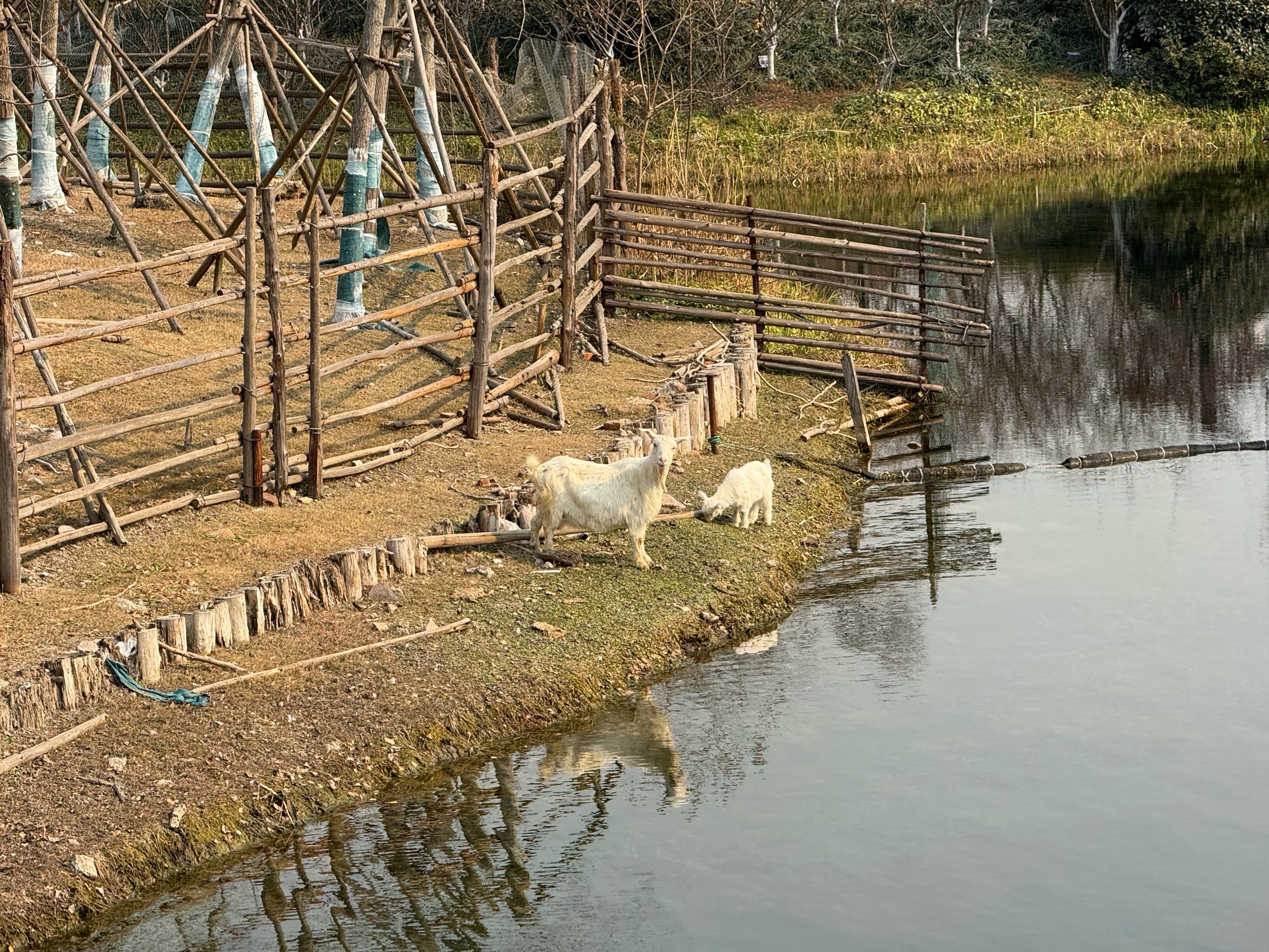 Jiaxing Animal Park