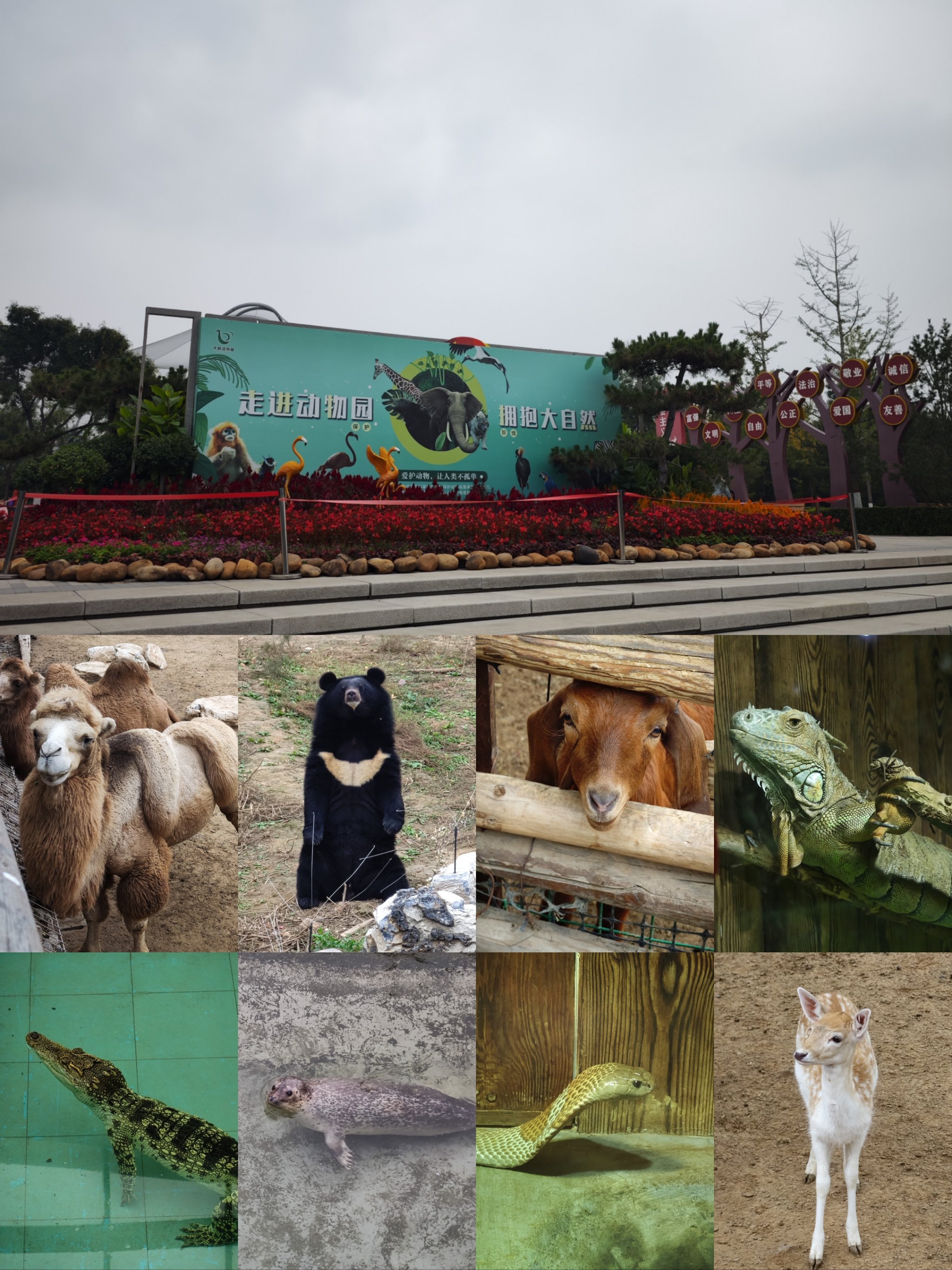 Taiyuan Animal Park