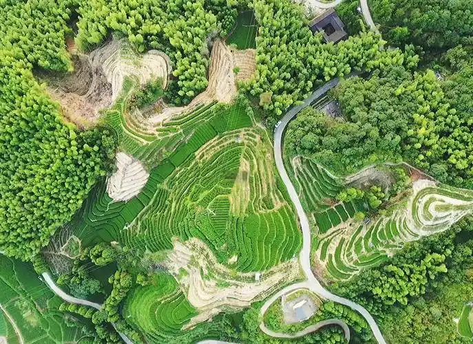 GuanYang Town, Futong, Ningde